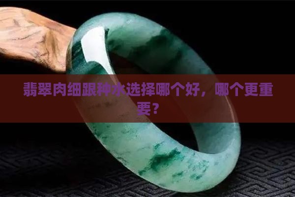 翡翠肉细跟种水选择哪个好