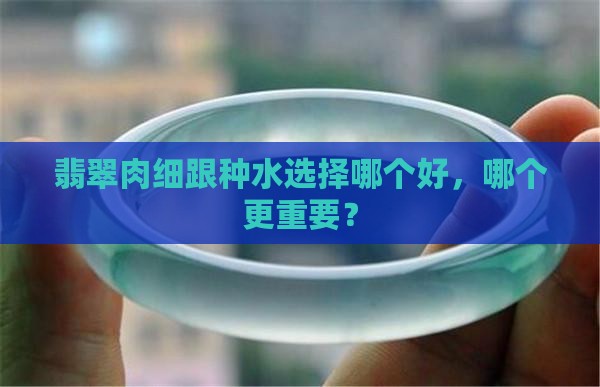 翡翠肉细跟种水选择哪个好