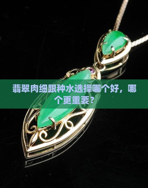 翡翠肉细跟种水选择哪个好