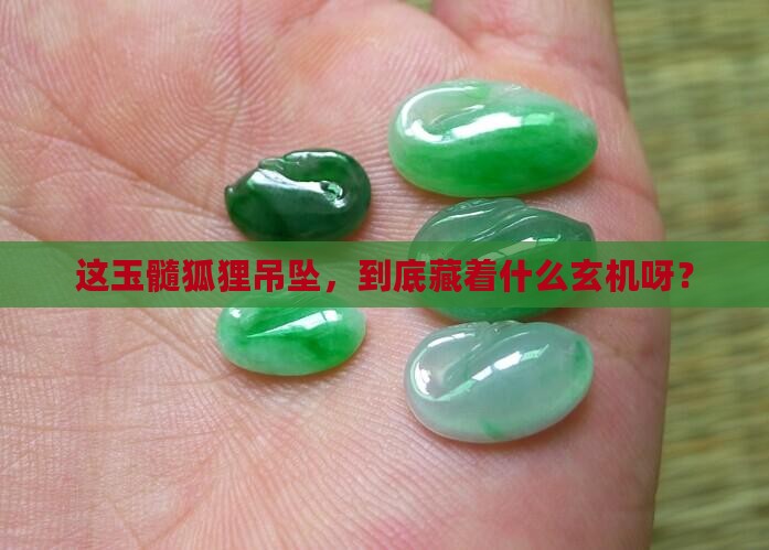 玉髓狐狸吊坠有什么寓意