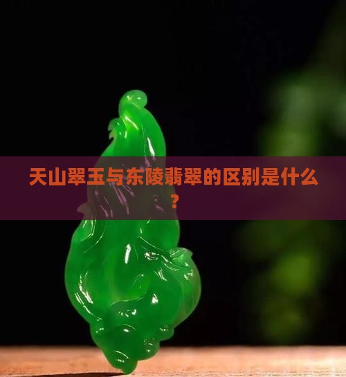 天山翠玉是东陵玉吗