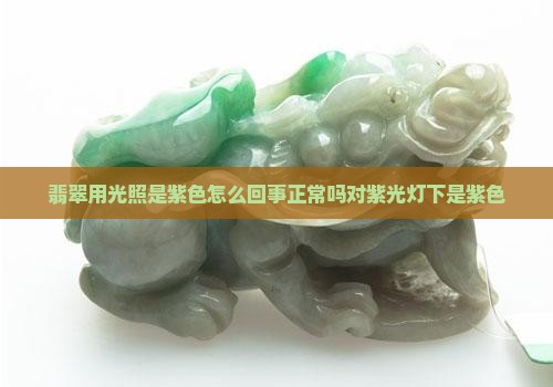 翡翠用光照是紫色