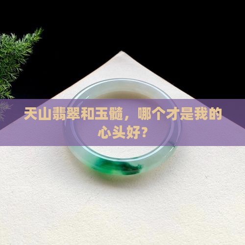 天山翡翠好还是玉髓好呢