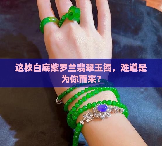 白底紫罗兰翡翠玉镯