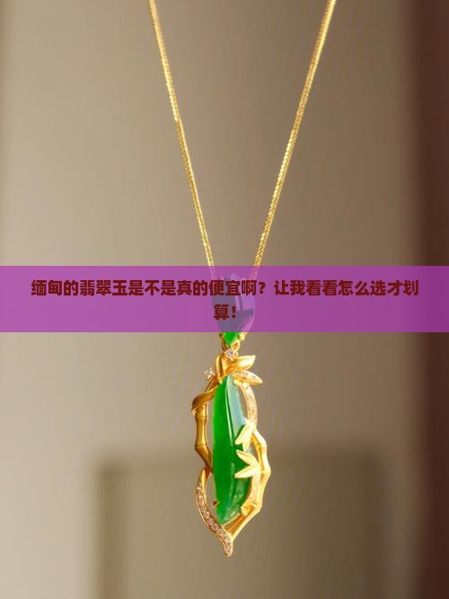 缅甸的翡翠玉是不很便宜