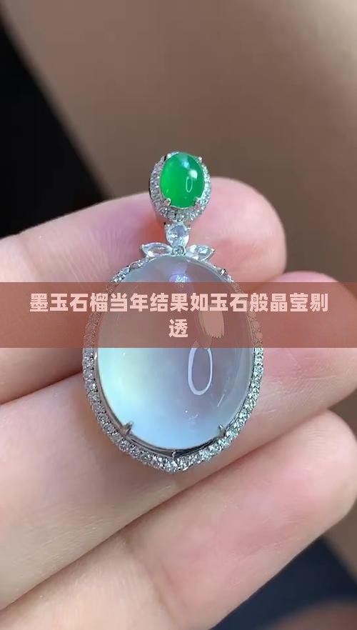 墨玉石榴当年结果