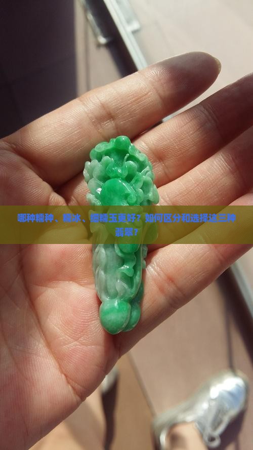 糯种糯冰细糯的玉哪种好