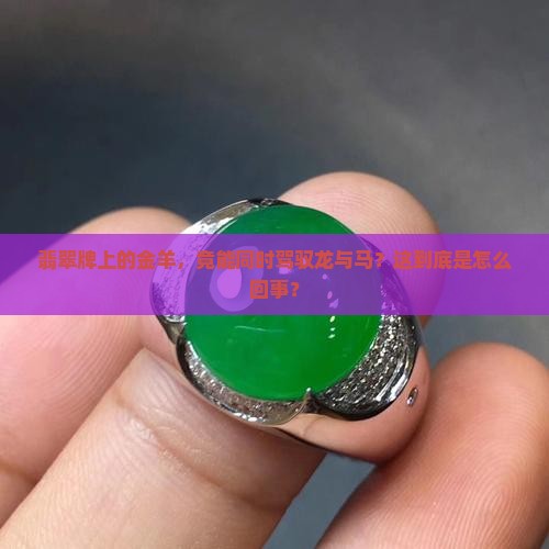 金羊可以带有龙有马的翡翠牌吗