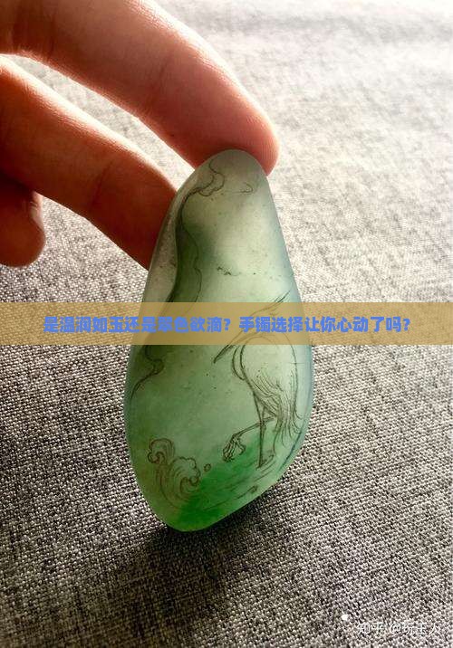 玉手镯和翡翠手镯哪个好