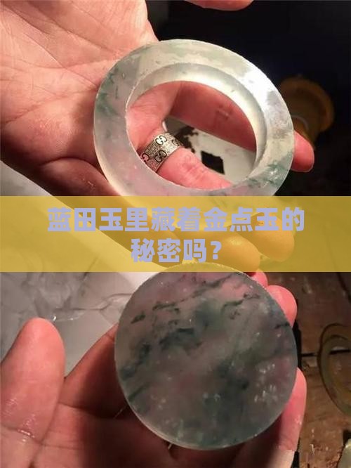 蓝田玉中有金点玉吗