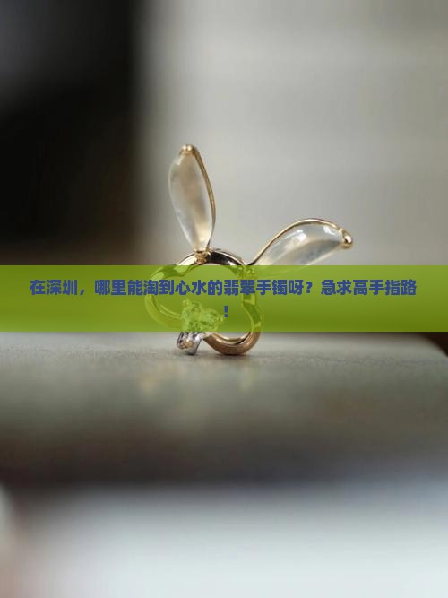 深圳哪里买翡翠手镯