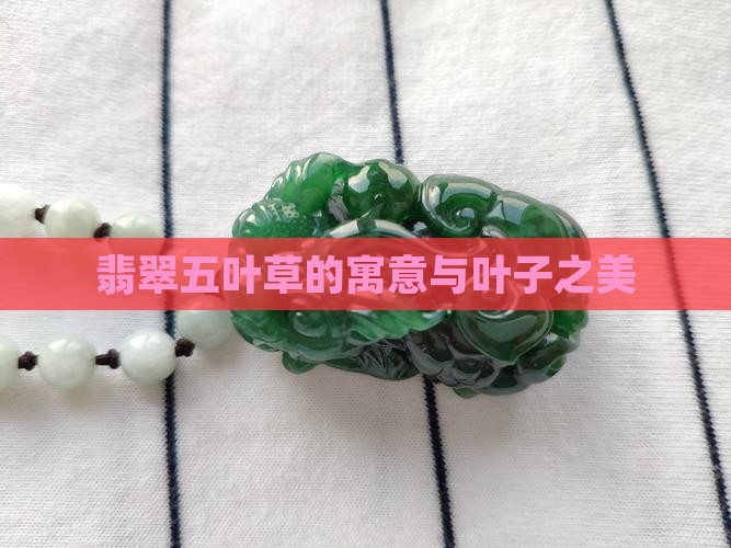 翡翠五叶草的寓意