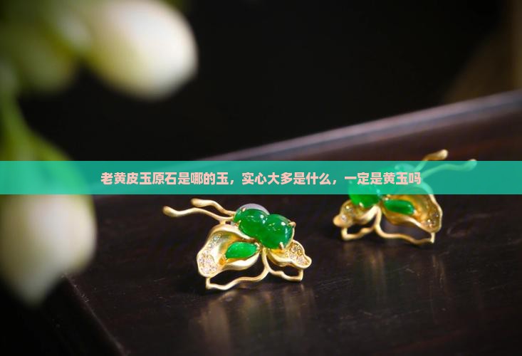 老黄皮玉原石