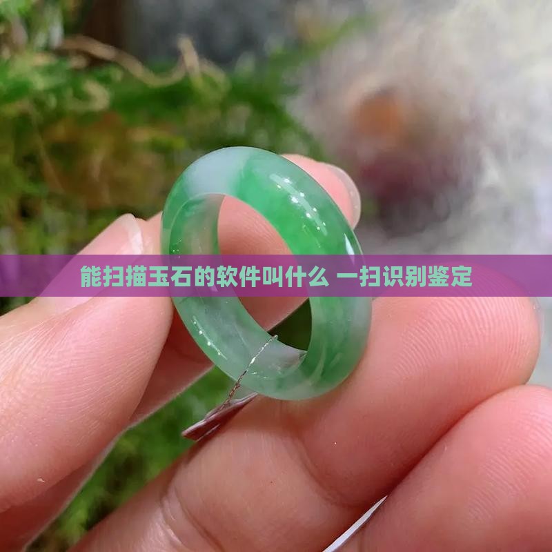 能扫描玉石的软件叫什么