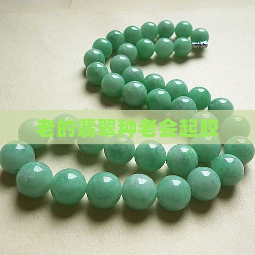 种老的翡翠会起胶