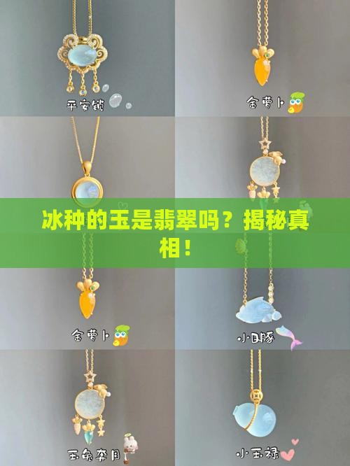 冰种的玉是翡翠吗