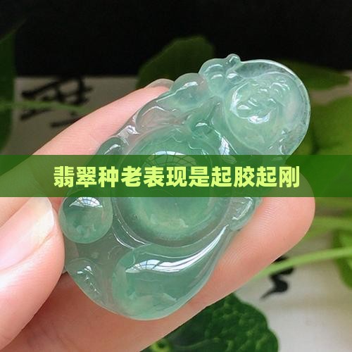翡翠种老表现是起钢