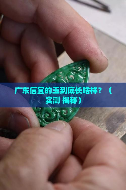 广东信宜的玉是什么样的