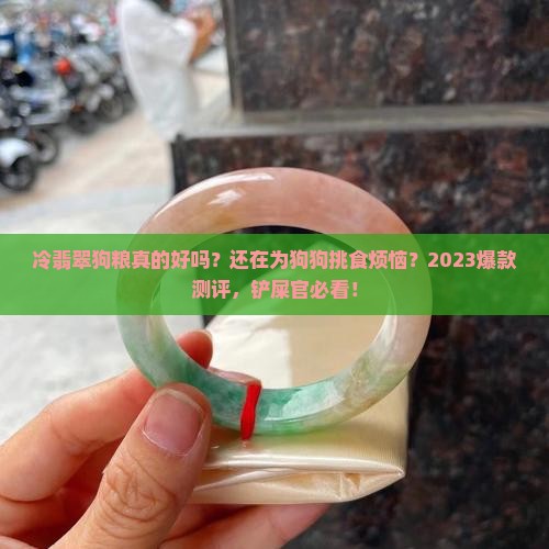 冷翡翠狗粮测评推荐