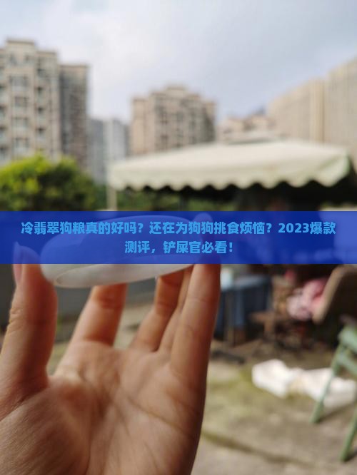 冷翡翠狗粮测评推荐