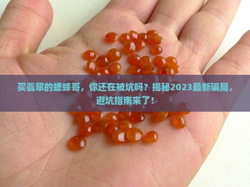 买翡翠的蟋蟀哥