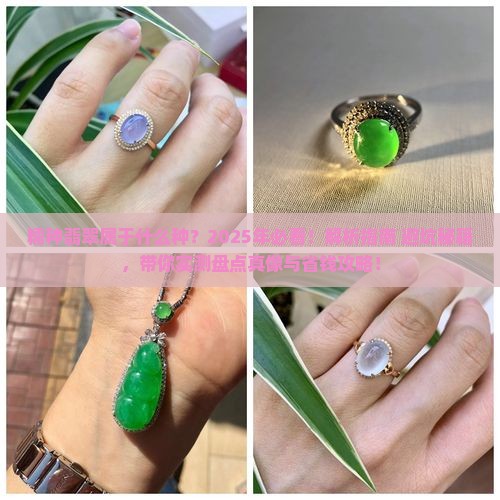 糯种翡翠属于什么种