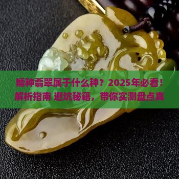 糯种翡翠属于什么种