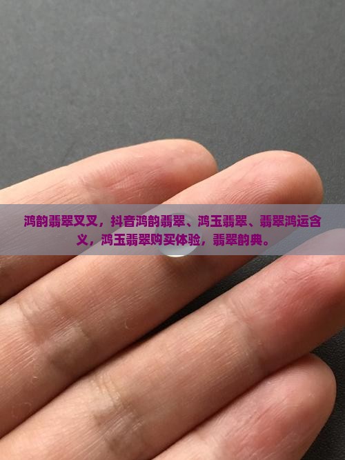 鸿韵翡翠叉叉