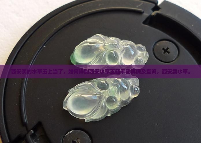 西安买的水草玉上当了