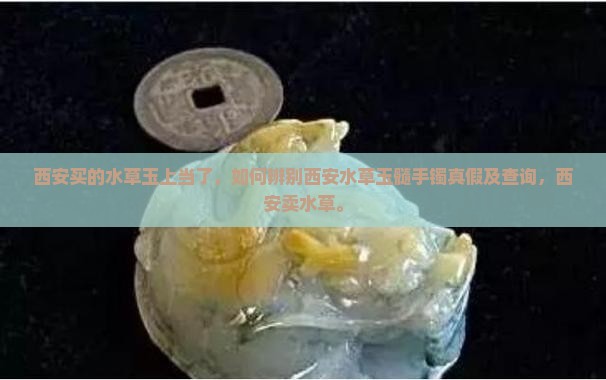 西安买的水草玉上当了