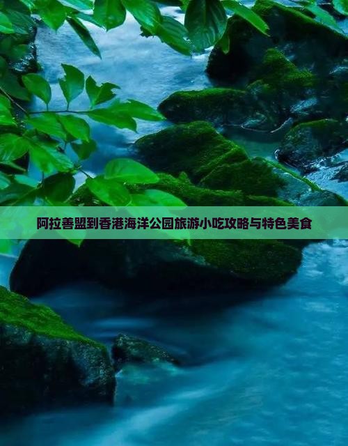 阿拉善盟到香港海洋公园旅游小吃攻略与特色美食