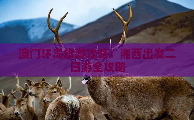 澳门环岛旅游攻略：湘西出发二日游全攻略