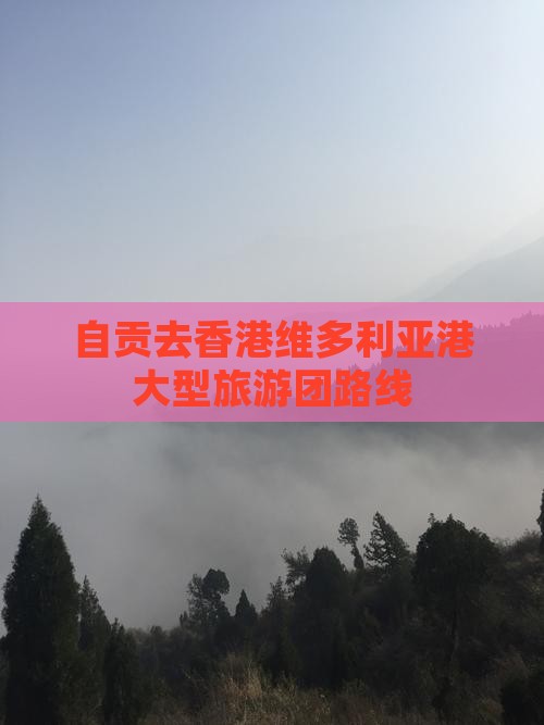 自贡去香港维多利亚港大型旅游团路线