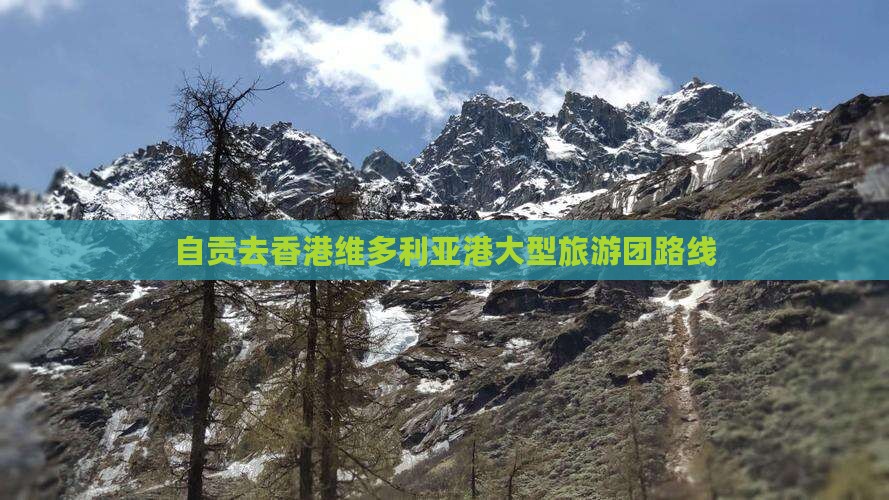 自贡去香港维多利亚港大型旅游团路线