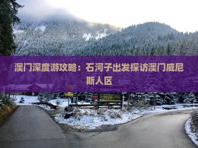 澳门深度游攻略：石河子出发探访澳门威尼斯人区