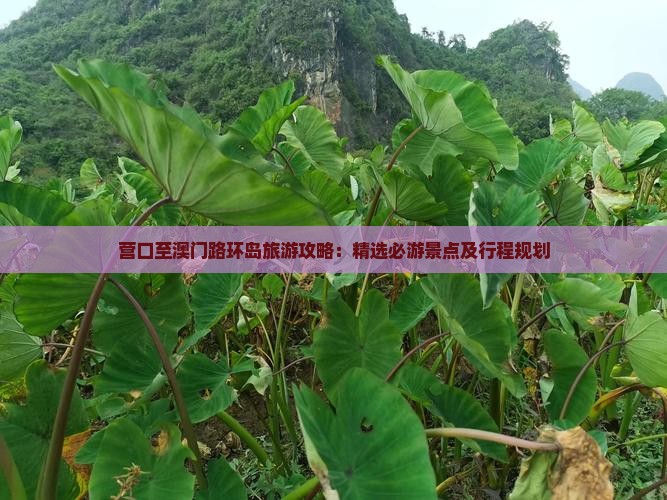 营口至澳门路环岛旅游攻略：精选必游景点及行程规划