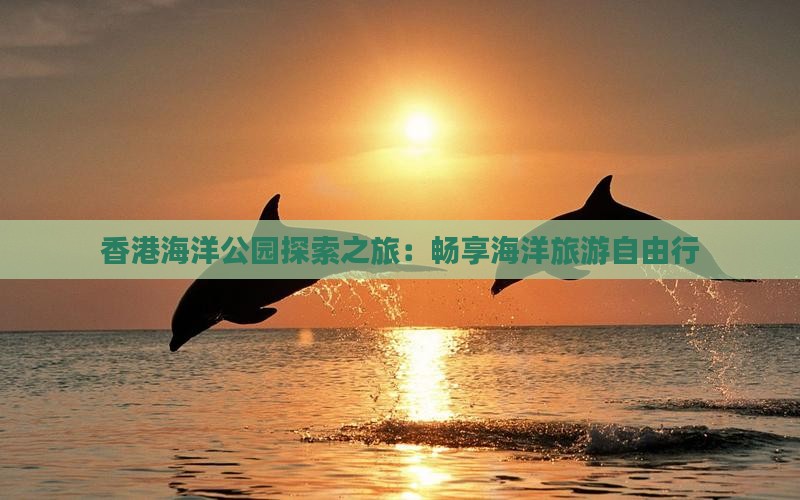 香港海洋公园探索之旅：畅享海洋旅游自由行