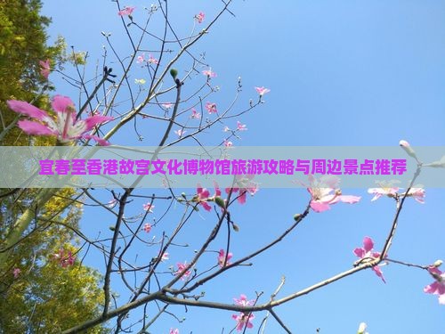 宜春至香港故宫文化博物馆旅游攻略与周边景点推荐