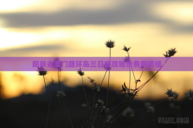 阳泉去澳门路环岛三日游攻略及费用明细