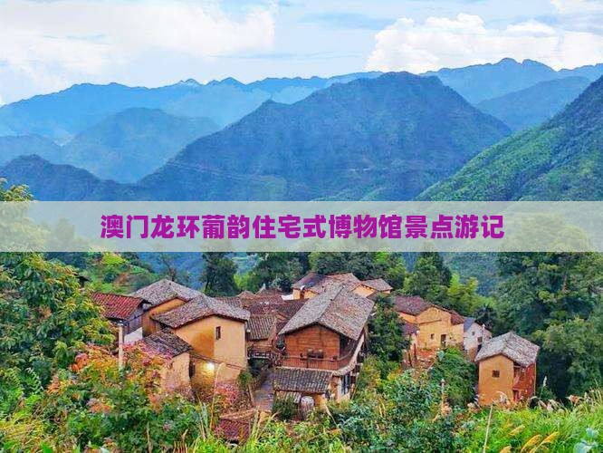 澳门龙环葡韵住宅式博物馆景点游记
