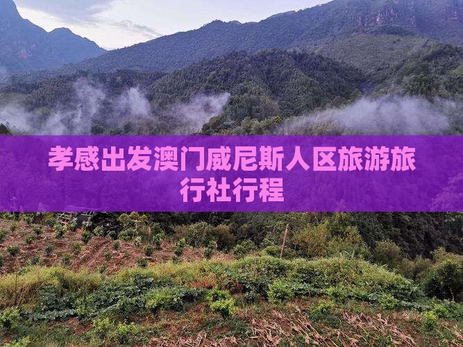 孝感出发澳门威尼斯人区旅游旅行社行程