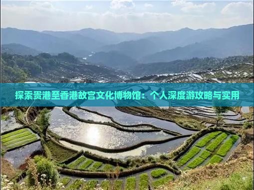 探索贵港至香港故宫文化博物馆：个人深度游攻略与实用