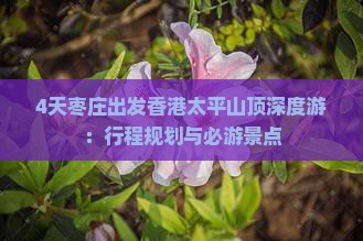 4天枣庄出发香港太平山顶深度游：行程规划与必游景点
