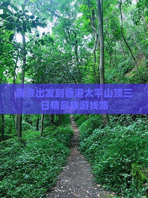 南京出发到香港太平山顶三日精品旅游线路