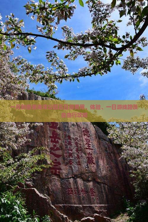 一月到香港海洋公园五日游费用、体验、一日游线路及自由行攻略