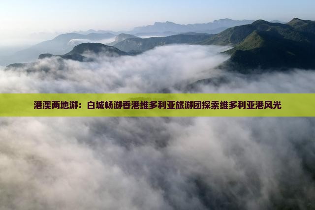 港澳两地游：白城畅游香港维多利亚旅游团探索维多利亚港风光
