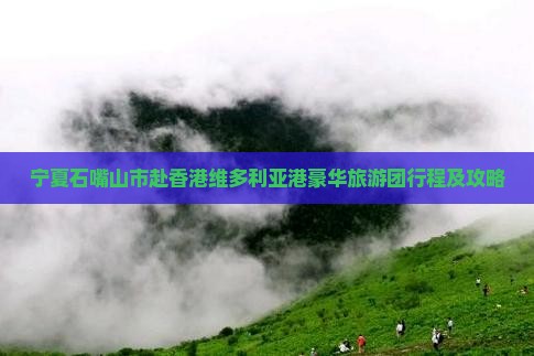 宁夏石嘴山市赴香港维多利亚港豪华旅游团行程及攻略