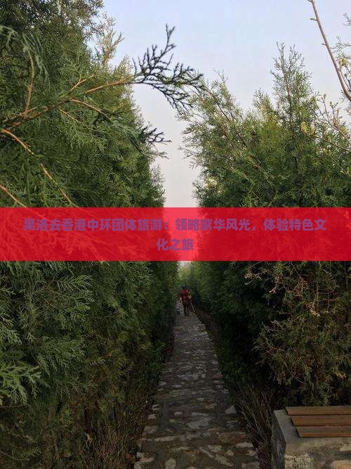 果洛去香港中环团体旅游：领略繁华风光，体验特色文化之旅