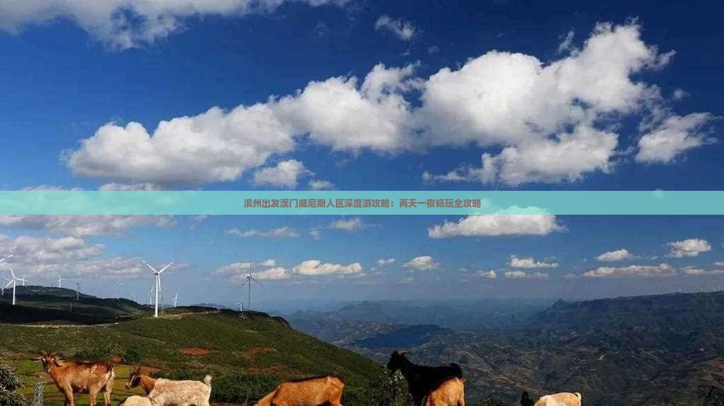 滨州出发澳门威尼斯人区深度游攻略：两天一夜畅玩全攻略