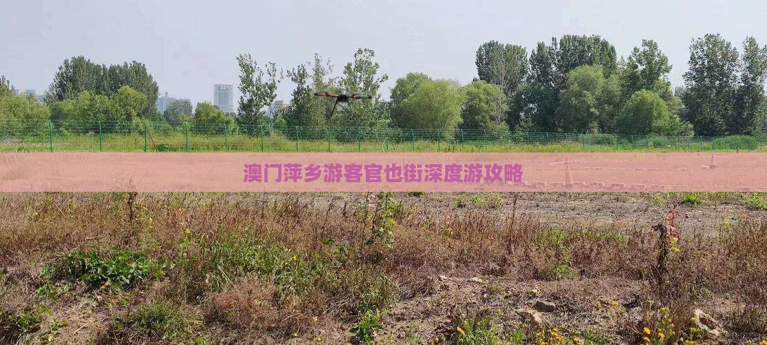 澳门萍乡游客官也街深度游攻略